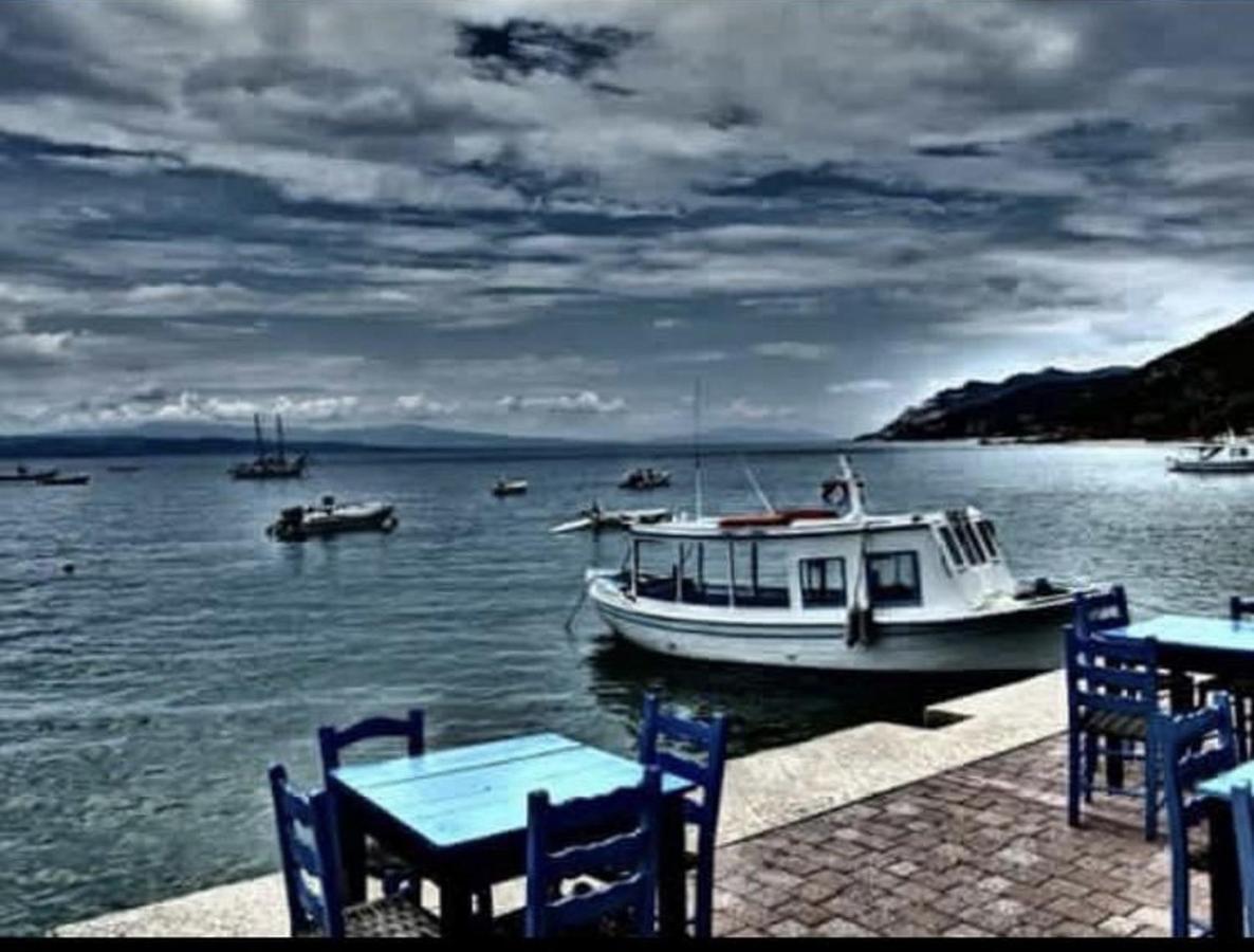 Harmony Seaside Pelion Leilighet Platanias  Eksteriør bilde